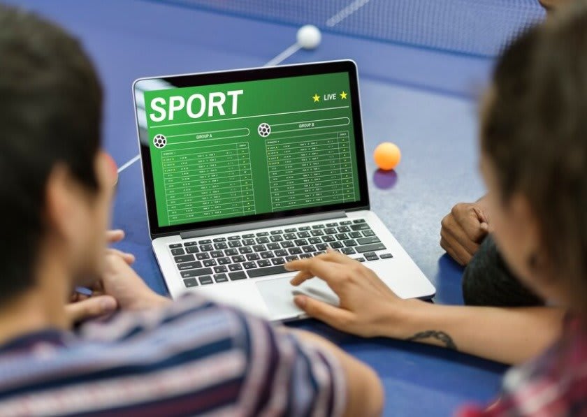 Sports Academy Website Design and Development 2 support